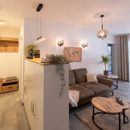 Alte Papierfabrik Daire *